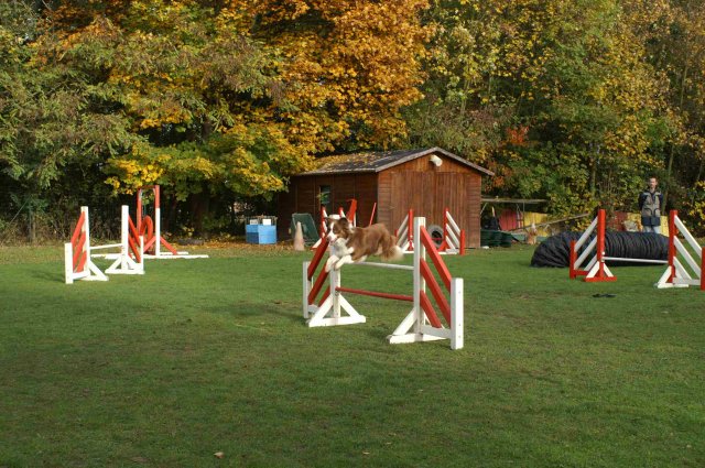 agility 2011-10-30
